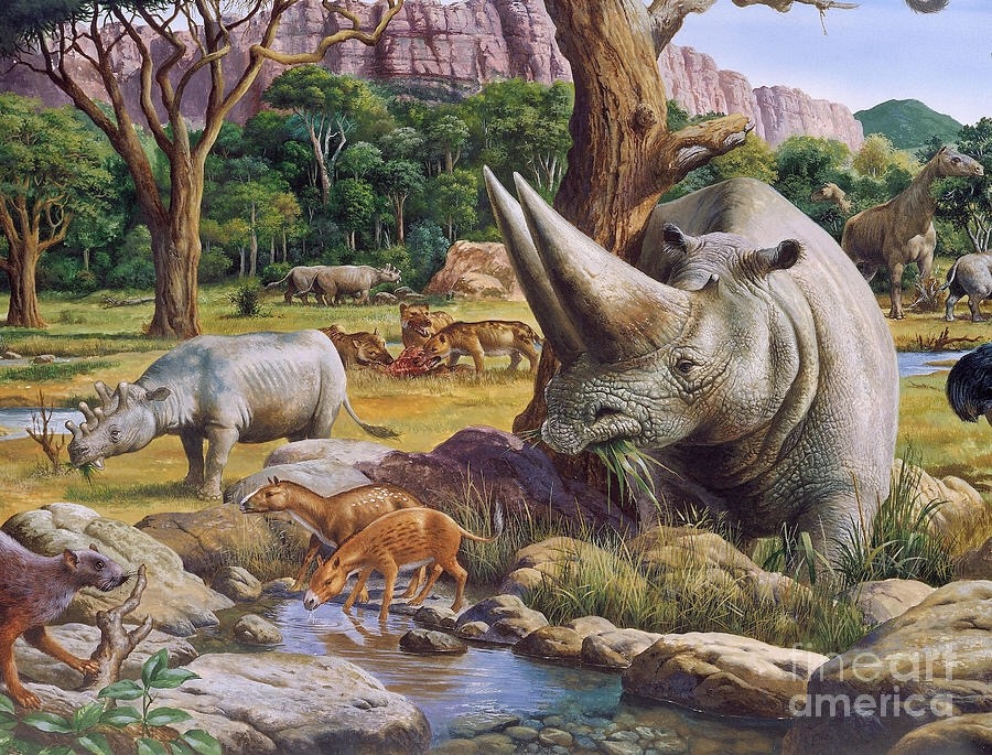 Cenozoic era - mammals and humans evolve