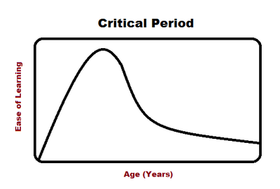 This image shows that during the critical period specific skills are