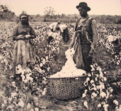 cotton plantations 1800s