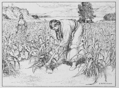 Drawing Of A Pueblo Farmer.