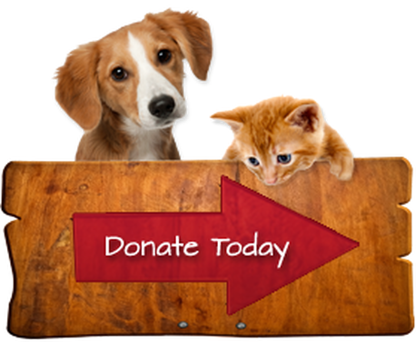 Donate animals
