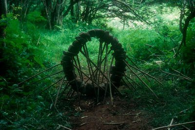 andy goldsworthy circles