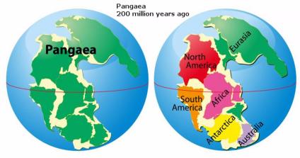 The Pangaea forms in this period.