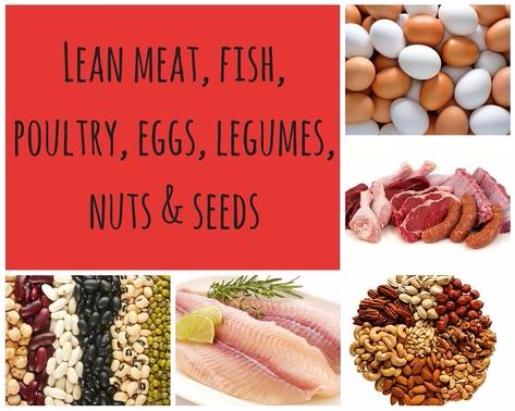 http://healthy-kids.com.au/kids/primary-school/the-five-food-groups-1/