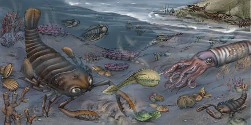 Ordovician: During this period, the area north of the tropics was ...