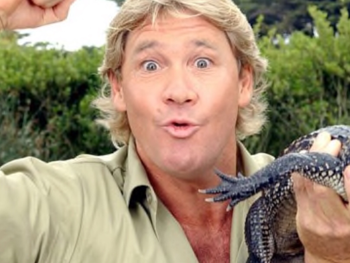 Steve Irwin | Sutori