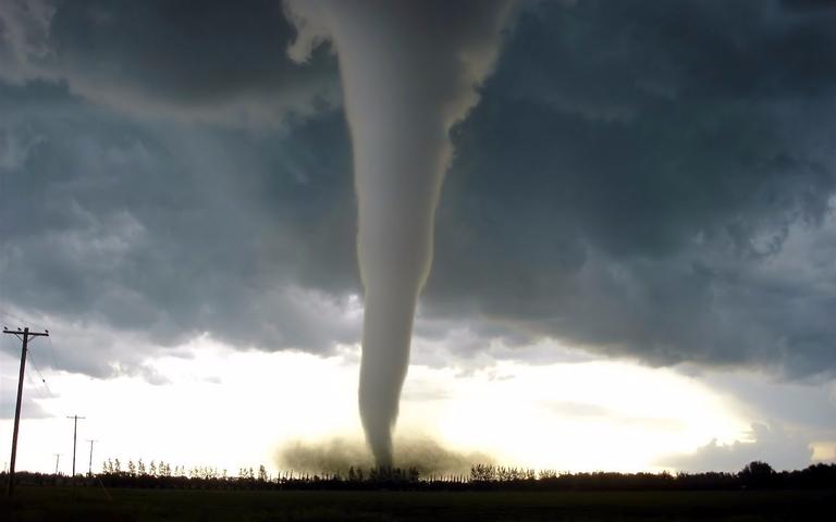 Tornado in the Temperate Decidous Forest | Sutori