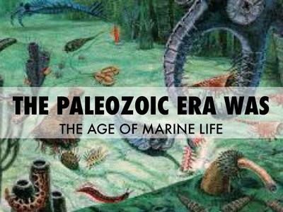 Phanerozoic Eon and Paleozoic Era: It began 542 MYA and lasted until ...