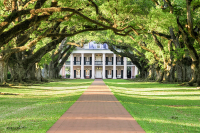 Oak Alley Plantation