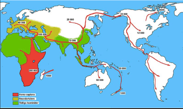 “Spreading Homo Sapiens.” Wikimedia Commons, 31 Aug. 2017, commons ...