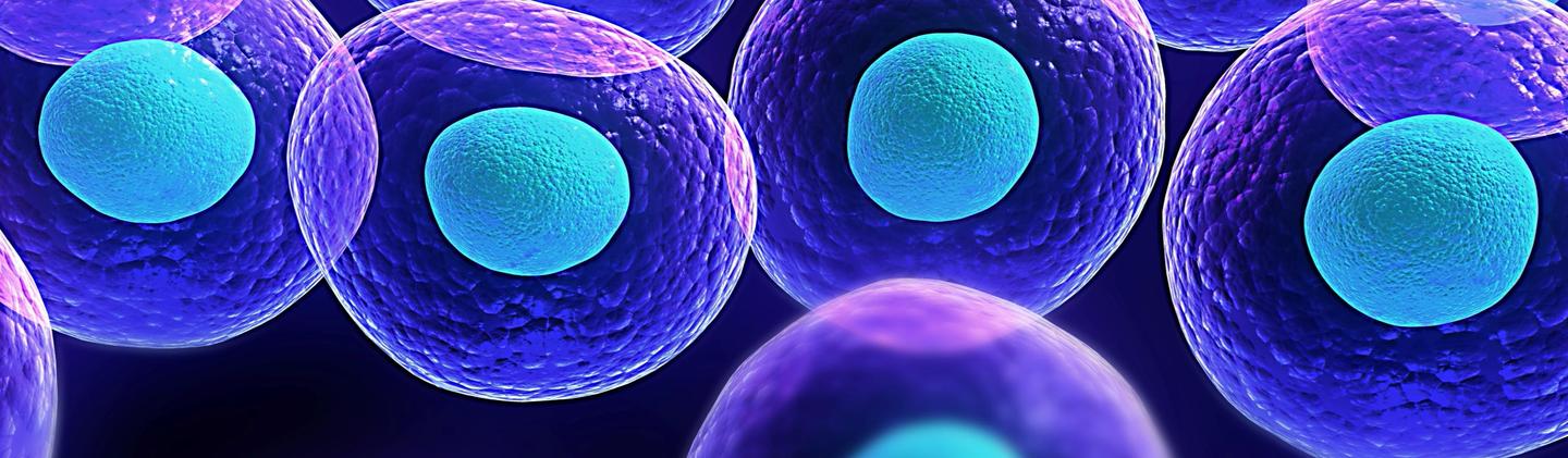 To print the story please do so via the link in the story toolbar.