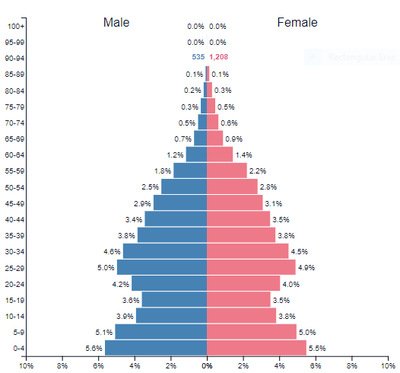 Population Pyramid