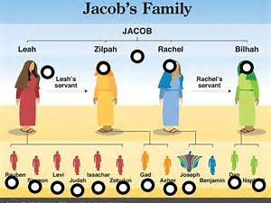 Jacob had four wives, and 12 sons, 1 daughter and two adopted children ...