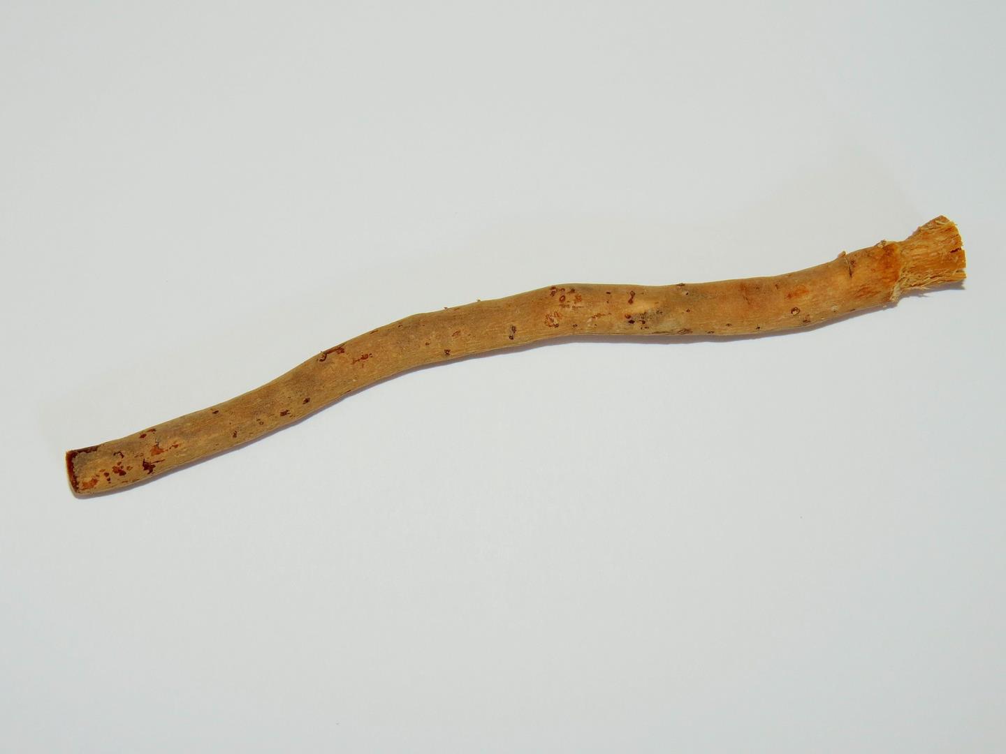 the first ever toothbrush