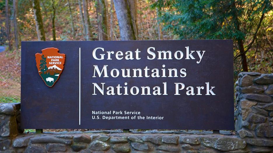 Смоки маунтин. Smoky Mountains National Park. To great Smoky Mountains National Park. Парк Грейт Смоки Маунтинс домики. Национальный парк Грейт Смоки Маунтинс животный мир.