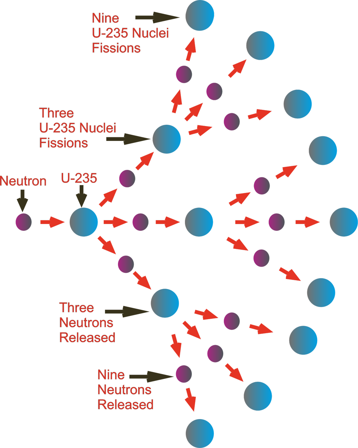 This is chain reaction releasing wnergy from the atoms nucleus