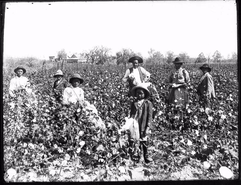 Cotton Industry and the debate over Slavery
