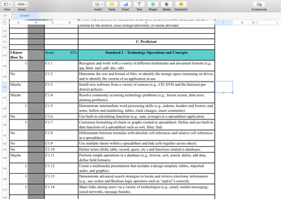 Meeting My SMART Goal: Mastering Spreadsheet Software