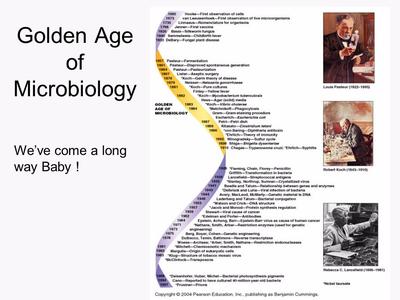 History of Microbiology Timeline | Sutori