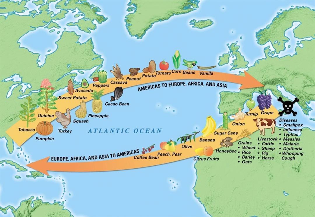 columbian-exchange-diseases-chart