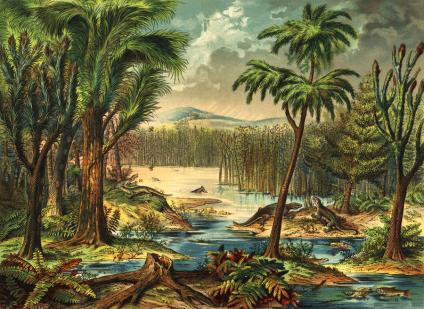 Carboniferous Period | Sutori