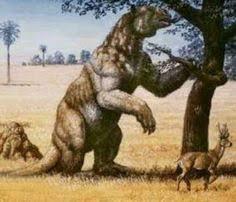 Sloth Evolution Timeline Sutori