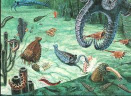 Paleozoic Era