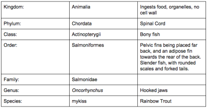 Rainbow Trout Classification Chart