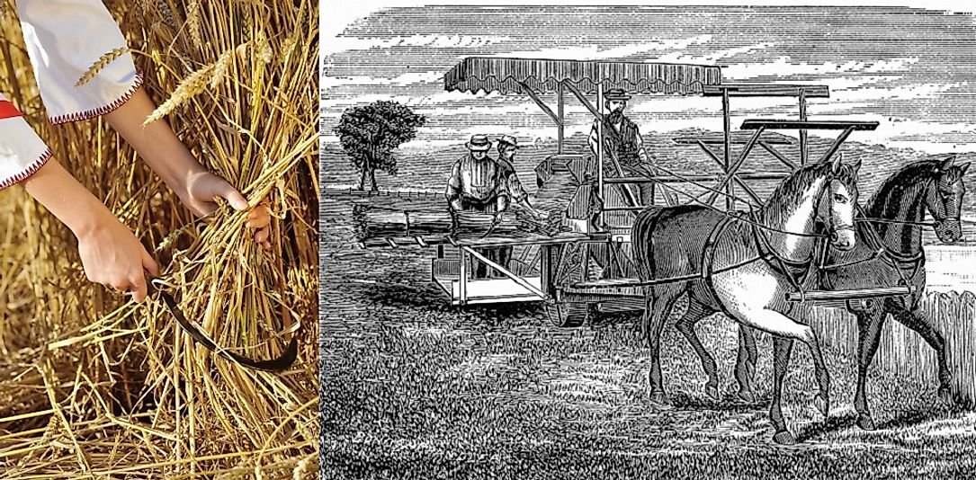 Сельское хозяйство и промыслы. Аграрный сектор Англии 19 век. Аграрное хозяйство Англии 18-19 век. Сельское хозяйство Англия 19 век. Сельское хозяйство в Англии 18 века.