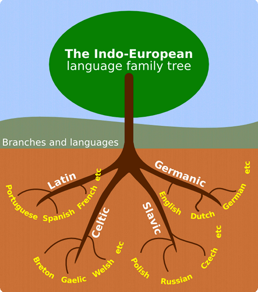 Язык tree. Indo European language Family. Indo European language Family Tree. Language Families. Language Families кратко.