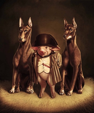 Napoleon Animal Farm Personality Book Review Classic Books Animal 