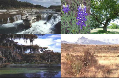 This images shows some physical characteristics.