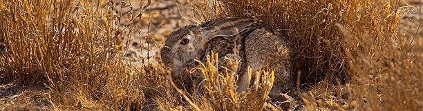 MIT L CSALFA A N 18 visual data 3