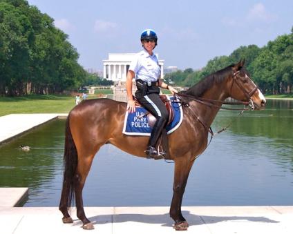 Us Park Police Mounted Unit Police Horse Us Hi Res Stock Photography
