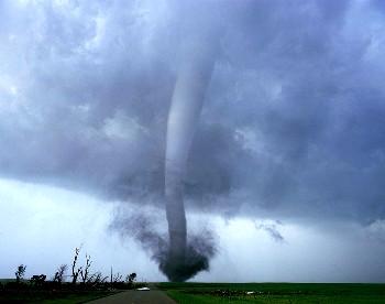 In conclusion, tornadoes have many effects on (once ) healthy ...