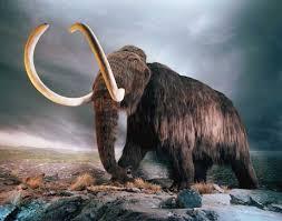 Steppe Mammoth vs Deinotherium, Cenozoic Era Battle [S1E8]