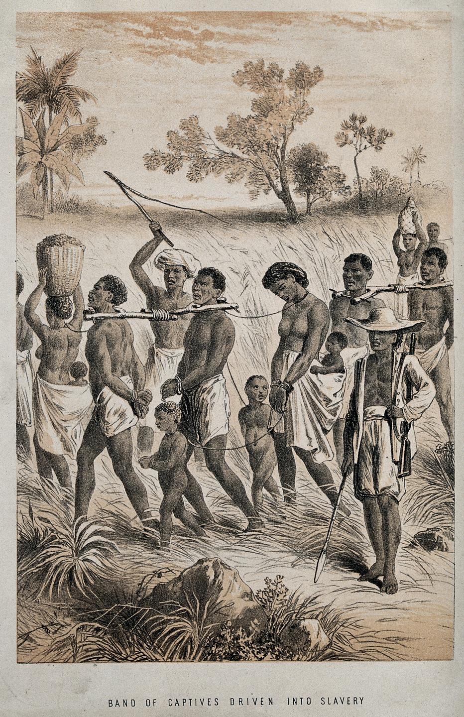 1518: First Enslaved Africans Brought To Americas