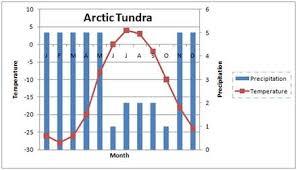 Tundra Biome Chart