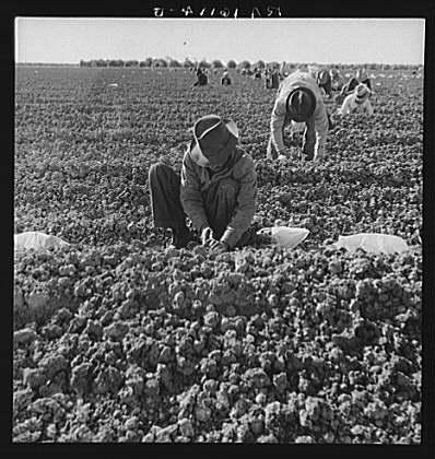 1938: The dust bowl finally ends in the south. Now that the dust bowl ...