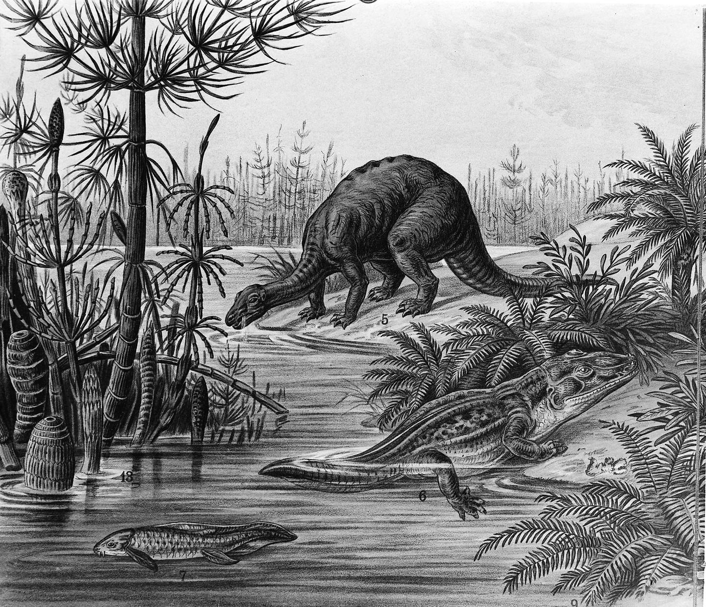 the-jurassic-period-ended-145-5-million-years-ago