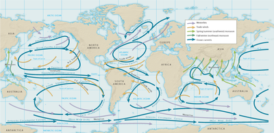 These Were The Wind Patterns That The People At This Time Used To Trade.