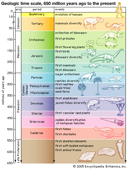 basic geologic time scale