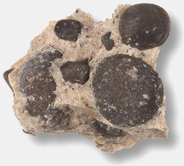 Brecha Roca http://www.netxplica.com/