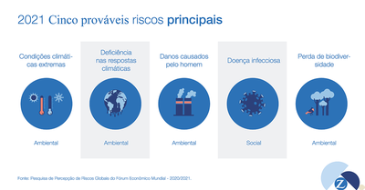 De acordo com o Relatório de Riscos Globais 2021. Analisando a imagem ...