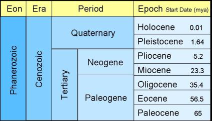 This chart shows what eon what it is and what periods and epochs are in ...