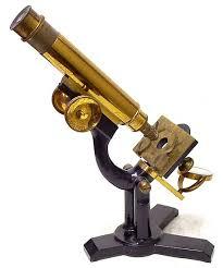 Anton van Leeuwenhoek invented the microscope with a single lens, this ...