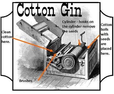 Eli Whitney invented the cotton gin and making cotton became king